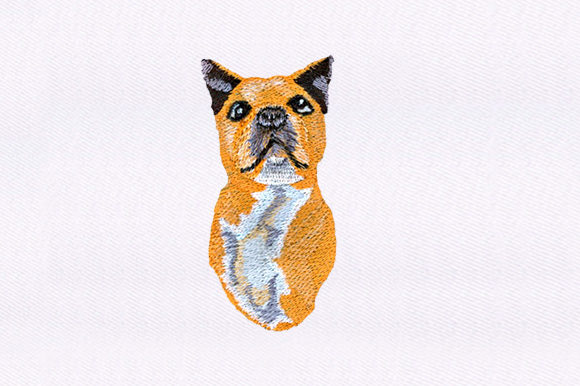 Reviewing Smug Dog Design for Boutique Sweatshirts